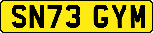 SN73GYM