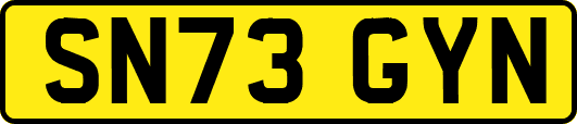 SN73GYN