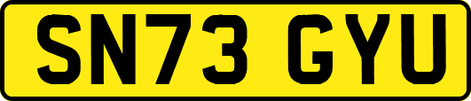 SN73GYU