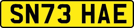 SN73HAE