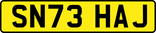 SN73HAJ