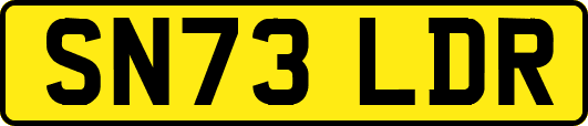 SN73LDR
