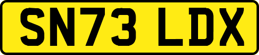SN73LDX