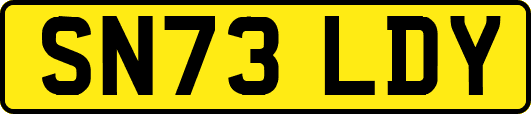 SN73LDY