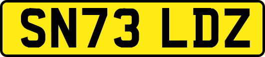 SN73LDZ