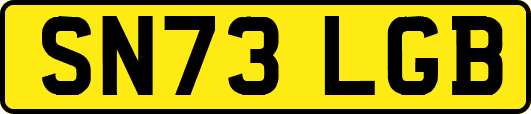 SN73LGB