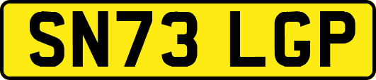 SN73LGP
