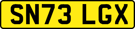 SN73LGX