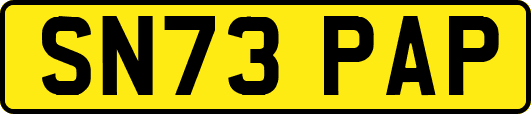 SN73PAP