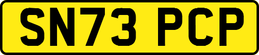 SN73PCP