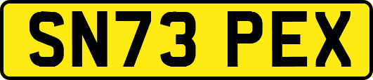 SN73PEX