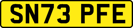 SN73PFE