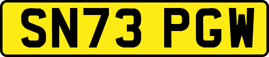 SN73PGW