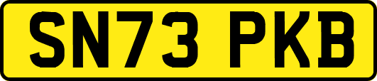 SN73PKB