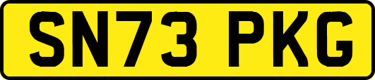 SN73PKG