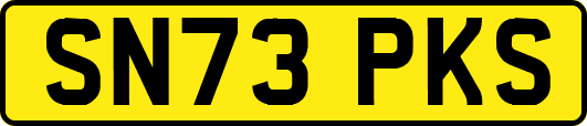 SN73PKS