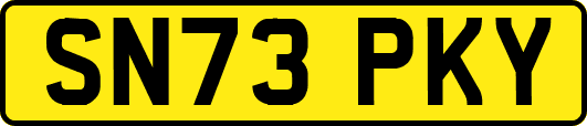 SN73PKY