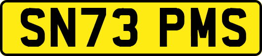 SN73PMS