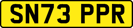 SN73PPR