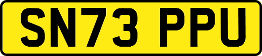 SN73PPU