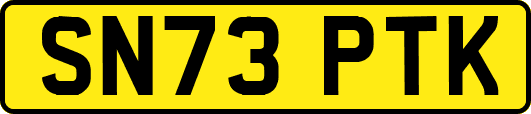 SN73PTK