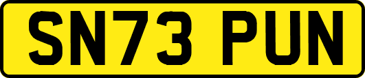 SN73PUN