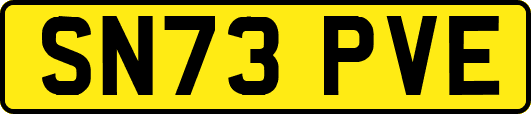 SN73PVE