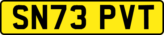 SN73PVT