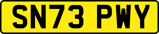 SN73PWY