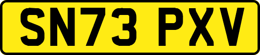 SN73PXV