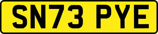 SN73PYE