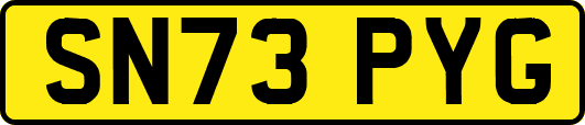 SN73PYG