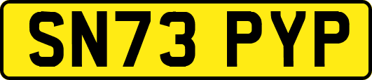 SN73PYP