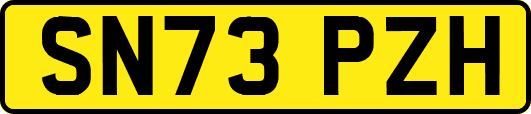 SN73PZH
