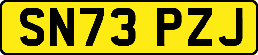 SN73PZJ