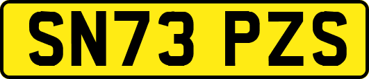 SN73PZS