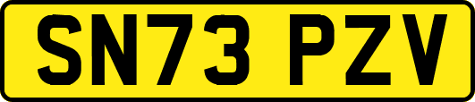 SN73PZV