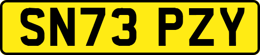 SN73PZY