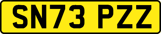 SN73PZZ