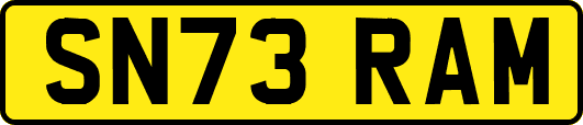 SN73RAM