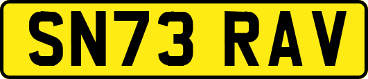 SN73RAV