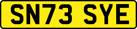 SN73SYE