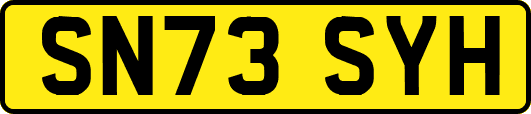 SN73SYH