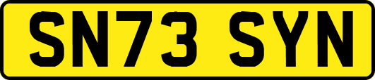 SN73SYN