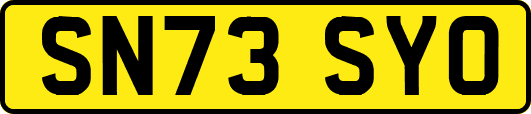 SN73SYO