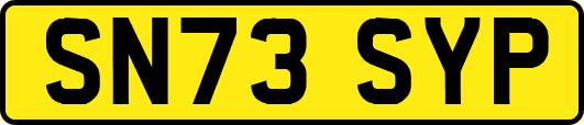SN73SYP
