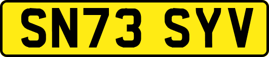 SN73SYV