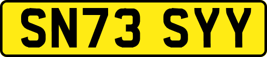 SN73SYY