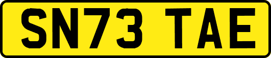 SN73TAE