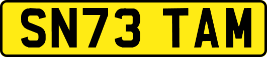 SN73TAM